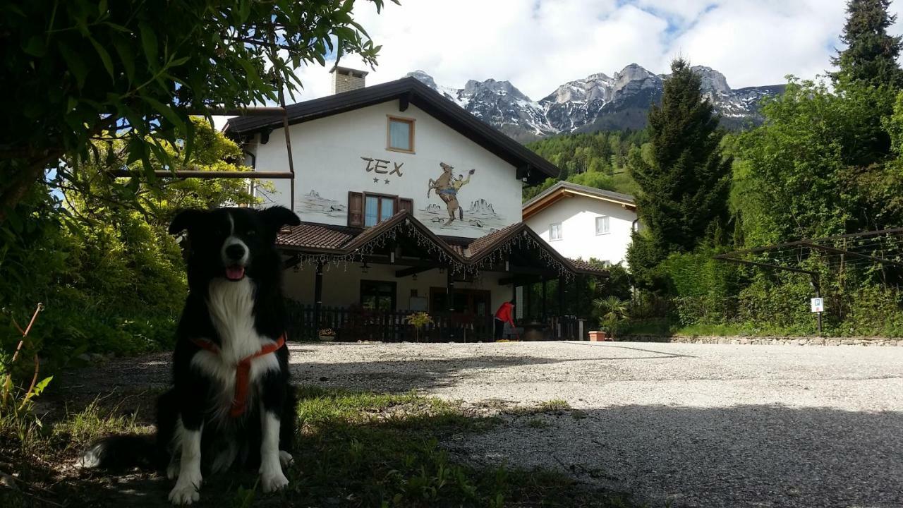 Botton D'Oro Delle Dolomiti Bed & Breakfast Vattaro Exterior photo